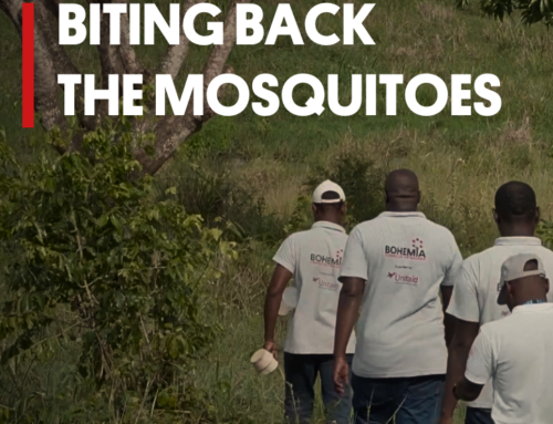 Video: Biting Back the Mosquitoes